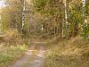 DSC05729.jpg